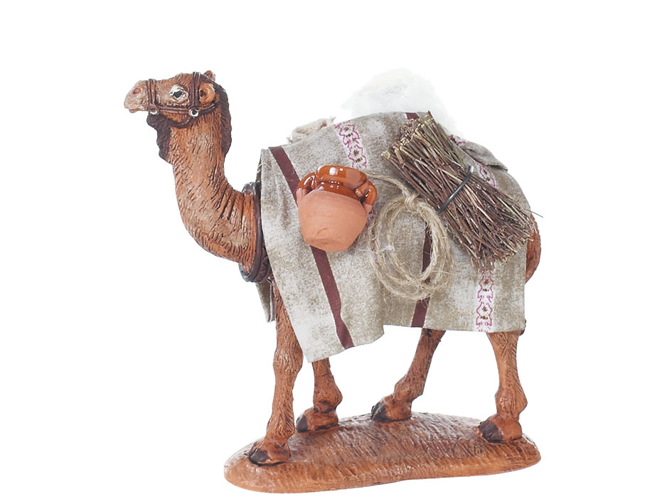 Camello de carga
