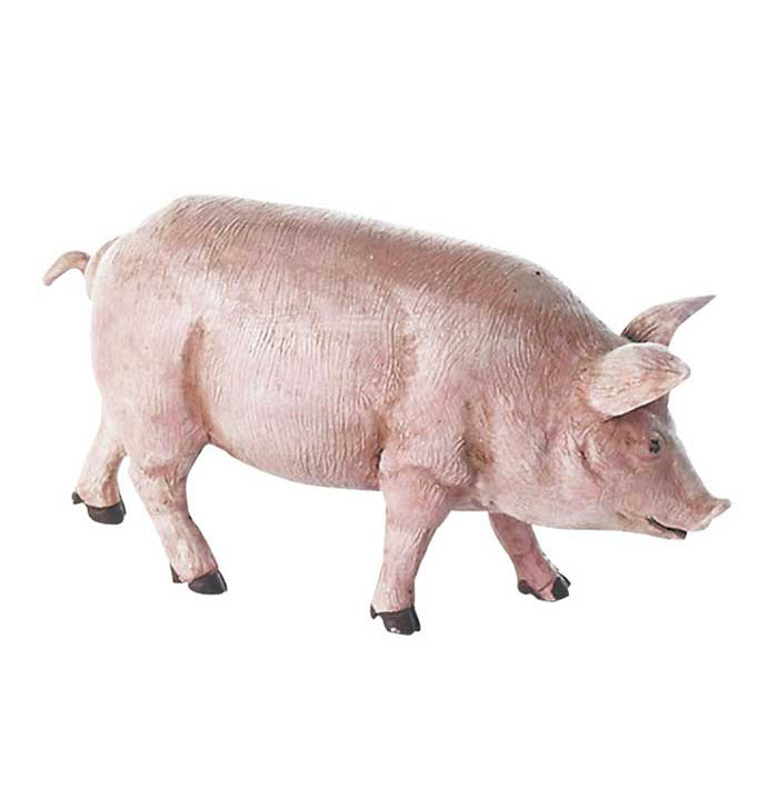 Cerdo de granja