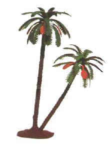 Palmeras